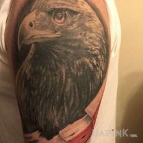 Tattoo Eagle on the upper arm motif: animals style: realistic