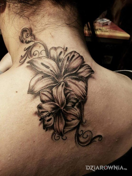 Tatuaż lili w motywie czarno-szare i stylu graficzne / ilustracyjne na plecach
