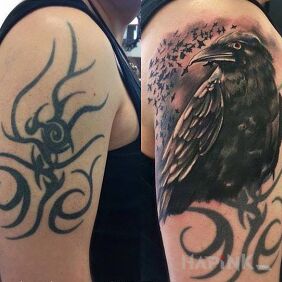 Tattoo Raven on the upper arm motif: cover-up style: realistic