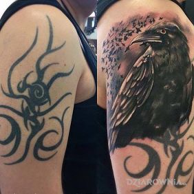 Tatuaż Kruk na ramieniu motyw: cover up styl: realistyczne