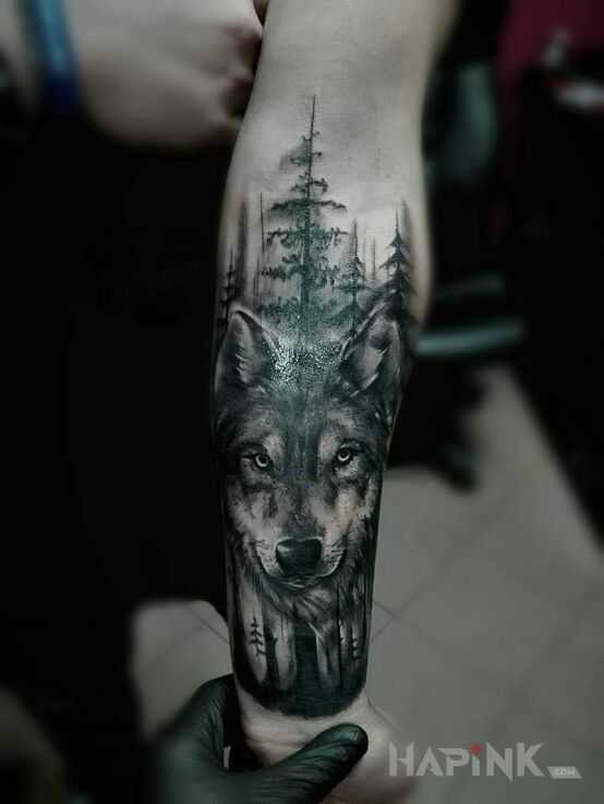 Tattoo Wilczek in black and gray motif and realistic style on the forearm