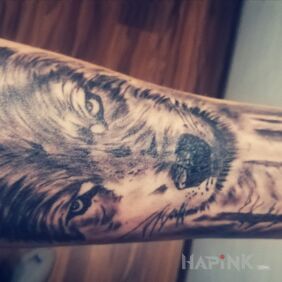 Tattoo Wolf, wolf on the forearm motif: animals style: realistic
