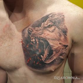 Tatuaż Część 1 - wszaaaa.     C. D. N... na klatce motyw: zwierzęta styl: realistyczne