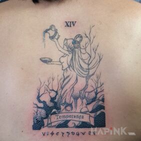 Tattoo Aquarius on the back motif: other