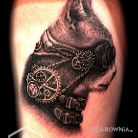 Tatuaż Steampunk i kot na przedramieniu motyw: zwierzęta