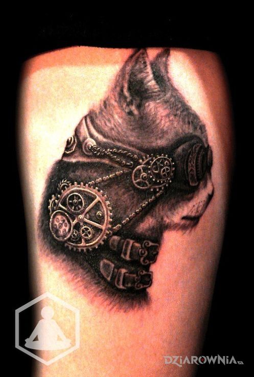 Tatuaż steampunk i kot w motywie steampunk na przedramieniu