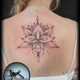 Tattoo Lotus on the back motif: black and gray style: graphic / illustrative