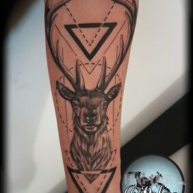 Tattoo Deer in geometry on the forearm motif: animals style: graphic / illustrative