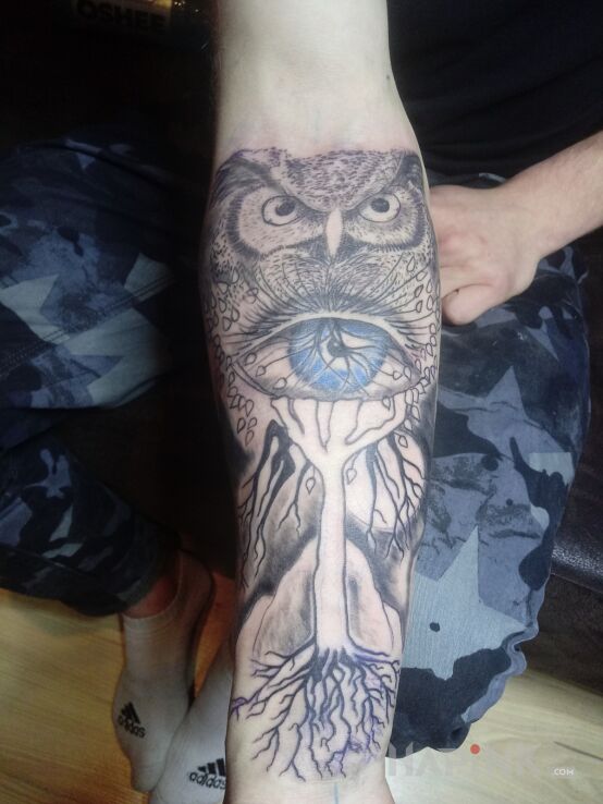 Tattoo Sowa z okiem in animals motif and graphic / illustrative style on the forearm