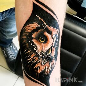 Tattoo Owl on the forearm motif: animals style: realistic