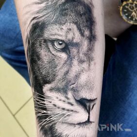 Tattoo Lion on the forearm motif: black and gray style: realistic