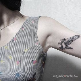 Tatuaż Orzełek na ramieniu motyw: zwierzęta styl: graficzne / ilustracyjne