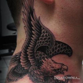 Tatuaż Fajny orzeł na szyi motyw: zwierzęta