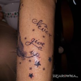 Tatuaż Nigdy się nie poddawaj na przedramieniu motyw: napisy styl: kaligrafia