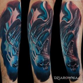 Tatuaż Czaszka 3D na przedramieniu motyw: czaszki