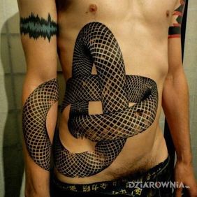 Tatuaż Wąż na brzuchu styl: geometryczne