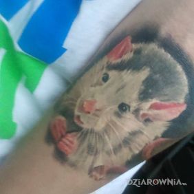 Tatuaż Skun na przedramieniu motyw: zwierzęta styl: realistyczne