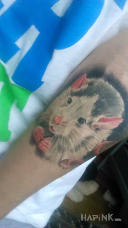Tattoo Skun in animals motif and realistic style on the forearm
