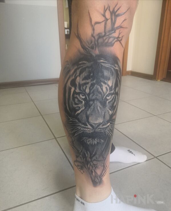 Tattoo Tygrys wśród drzew in animals motif and realistic style on the calf