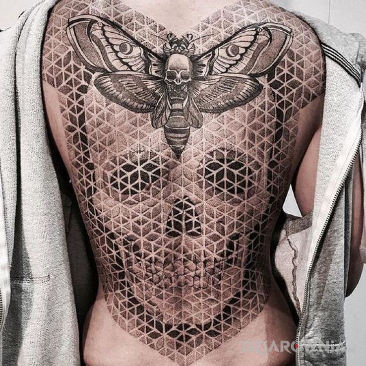 Tatuaż Cykada i czacha w motywie czarno-szare i stylu dotwork na plecach