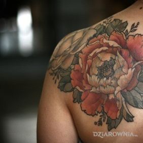 Tatuaż Kwiatuszek na łopatkach motyw: kolorowe