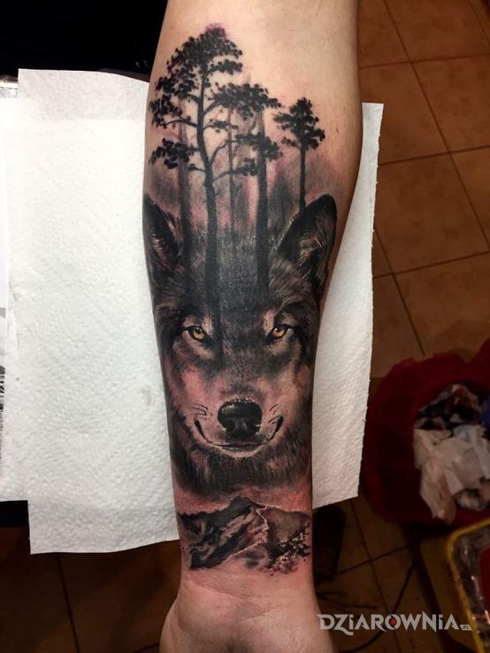 Tatuaż wilk z drzewami w motywie czarno-szare i stylu realistyczne na przedramieniu