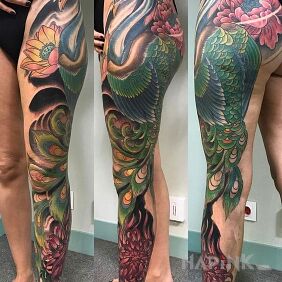 Tattoo Colorful peacock on the leg motif: animals style: japanese / irezumi