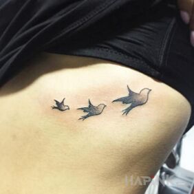 Tattoo Three birds on the ribs motif: black and gray style: minimalistic