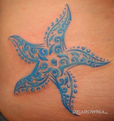Tatuaż rozgwiazda w motywie pozostałe na brzuchu