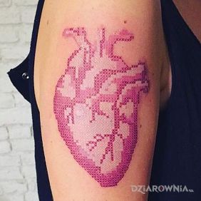 Tatuaż Serducho - haft na ramieniu motyw: anatomiczne styl: haftowane