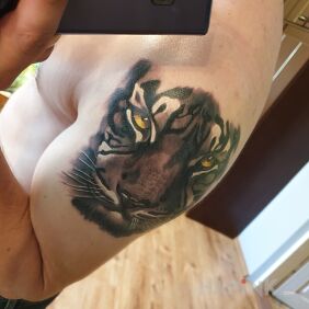 Tattoo Cat tattoo , do you have any idea what to do next? on the upper arm motif: black and gray style: realistic