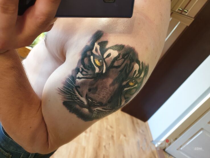 Tattoo Kocur tattoo , macie moze pomysl co dalej? in animals motif and realistic style on the upper arm