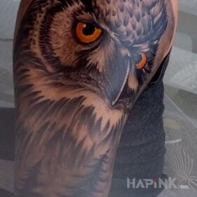 Tattoo Owl on the forearm motif: black and gray style: realistic