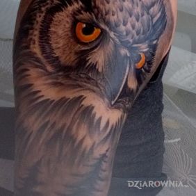 Tatuaż Sowa na przedramieniu motyw: czarno-szare styl: realistyczne