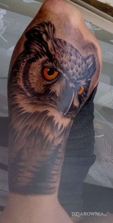 Tatuaż sowa w motywie czarno-szare i stylu realistyczne na przedramieniu
