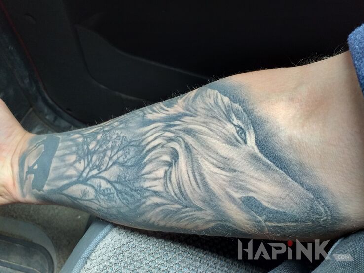 Tattoo Wilk in black and gray motif and realistic style on the forearm