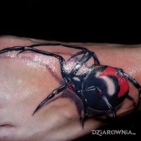 Tatuaż Pająk na stopie motyw: 3D styl: realistyczne