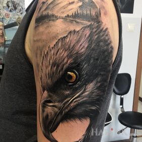 Tattoo An eagle among the mountains on the upper arm motif: black and gray style: realistic