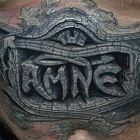 The Amne
