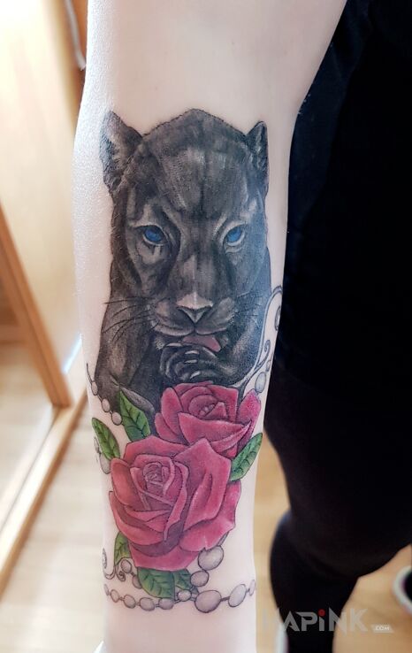 Tattoo Kotek ? in animals motif and graphic / illustrative style on the forearm