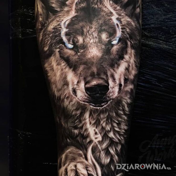 Tatuaż Magiczny wilk w motywie 3D i stylu realistyczne na przedramieniu