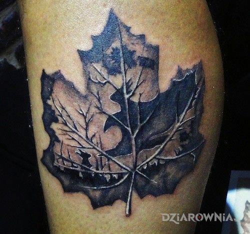 Tatuaż fajnie wyglądający liść w motywie pozostałe na przedramieniu