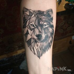 Tattoo Wolf on the forearm motif: black and gray style: realistic
