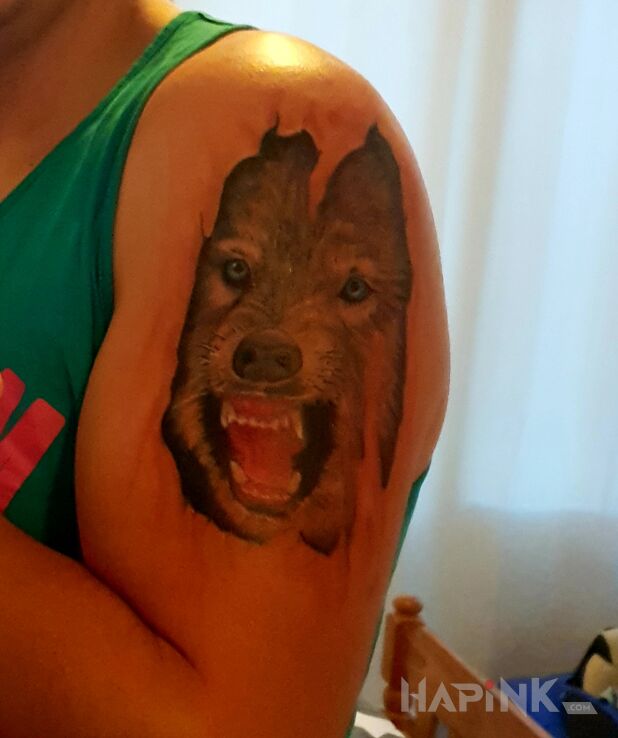 Tattoo Wilk pod skórą in colorful motif and realistic style on the upper arm