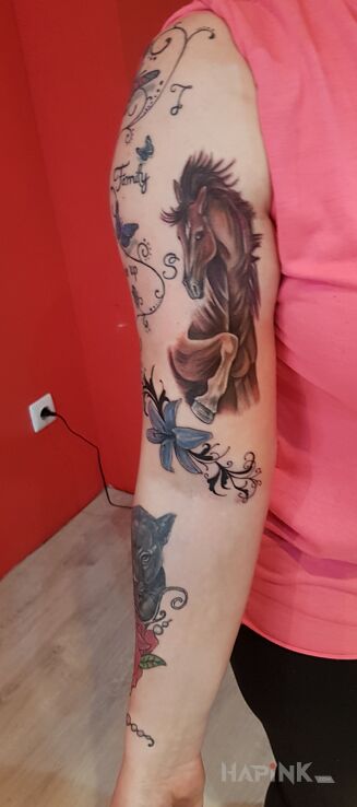 Tattoo Przecudny konik ? in colorful motif and realistic style on the upper arm