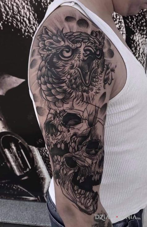 Tatuaż sowa czaszki w motywie czaszki i stylu szkic na ramieniu