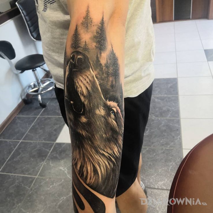 Tatuaż wilk w motywie czarno-szare i stylu realistyczne na przedramieniu