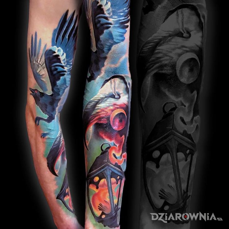 Tatuaż kruk w motywie kolorowe i stylu realistyczne na przedramieniu