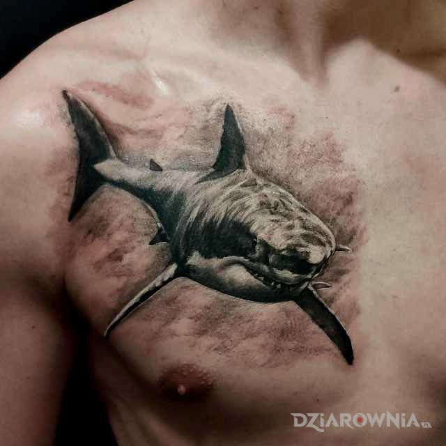Tatuaż rekin w motywie czarno-szare i stylu realistyczne na klatce