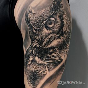 Tatuaż Sowa na ramieniu motyw: czarno-szare styl: realistyczne